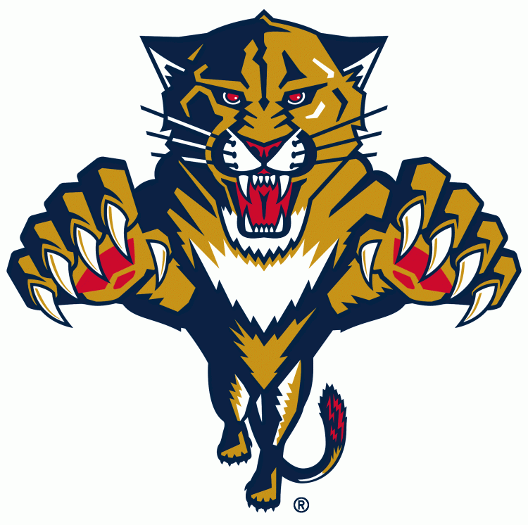 Florida Panthers1999-2016 Primary Logo fabric transfer